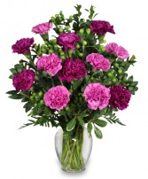 Colorful Carnations